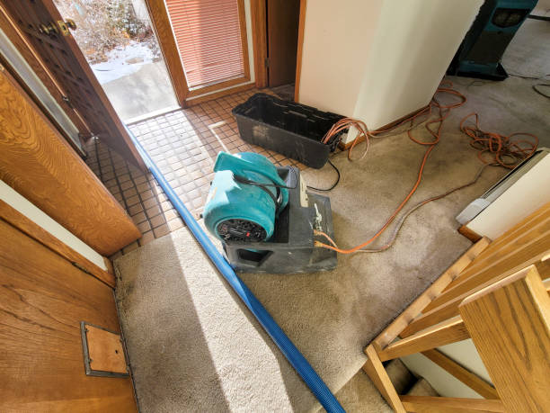 Best Sewage cleanup and water damage restoration  in Yoncalla, OR