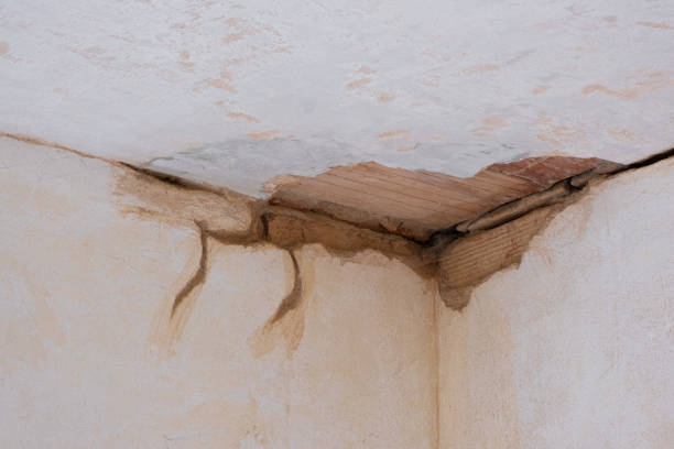 Best Residential water damage restoration  in Yoncalla, OR