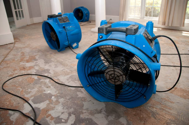 Best Flood damage cleanup  in Yoncalla, OR