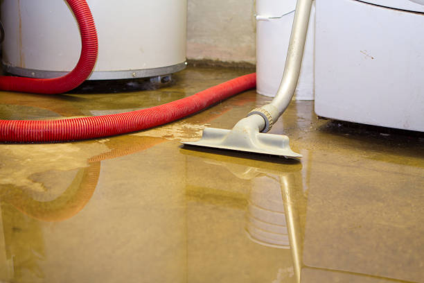 Best 24-hour water damage restoration  in Yoncalla, OR