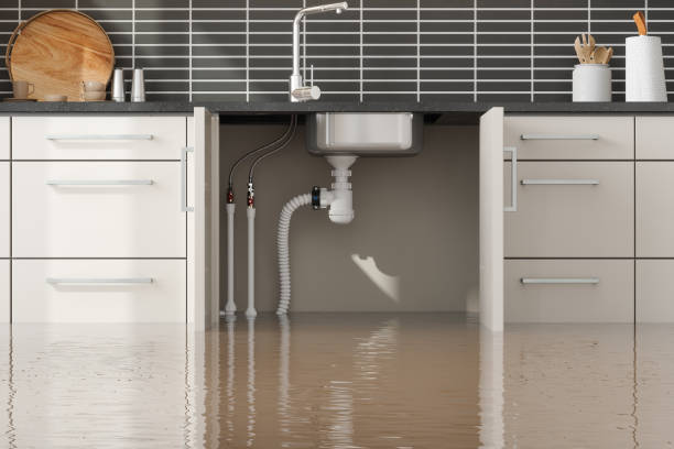 Best Water damage restoration mold remediation  in Yoncalla, OR